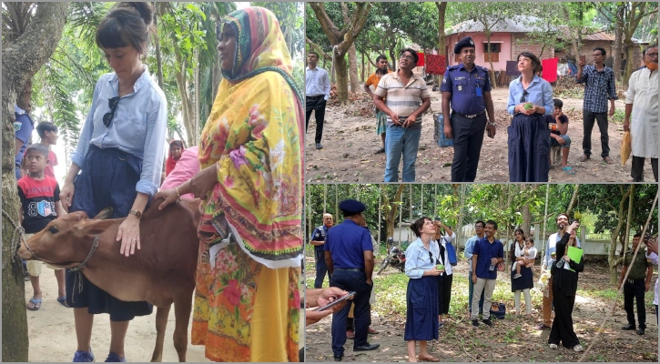 নাটোরে গাছ থেকে আম পাড়া দেখে মুগ্ধ সুইডেনের রাষ্ট্রদূত, চালালেন ভ্যান